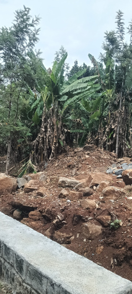  2000 Sq.ft. Residential Plot for Sale in Yercaud, Salem