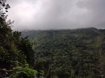  Factory for Sale in Coonoor, Ooty