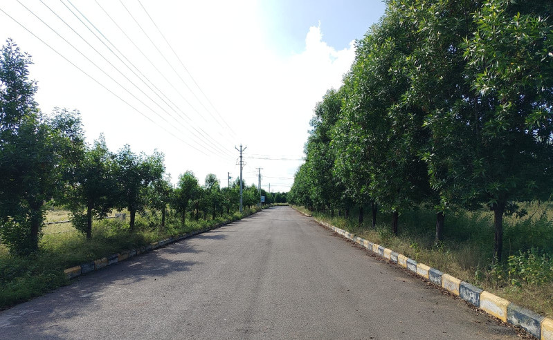  183 Sq. Yards Residential Plot for Sale in Rai Durg, Hyderabad