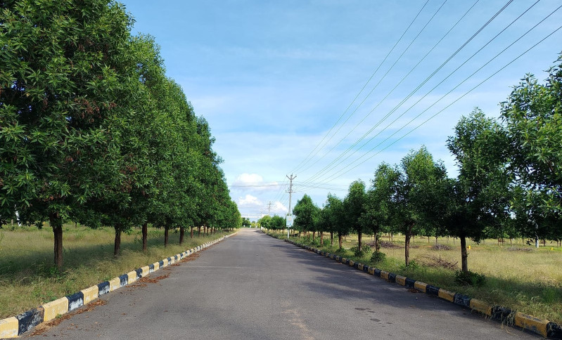  183 Sq. Yards Residential Plot for Sale in Rai Durg, Hyderabad