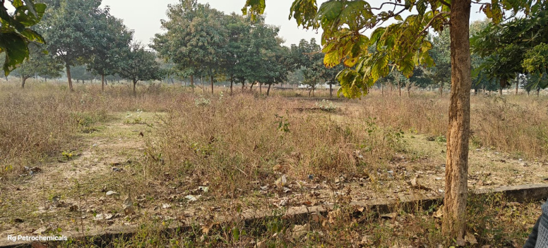  125 Sq. Yards Residential Plot for Sale in Gwalior Road, Agra