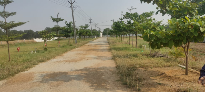  1485 Sq.ft. Residential Plot for Sale in Yerpedu, Tirupati