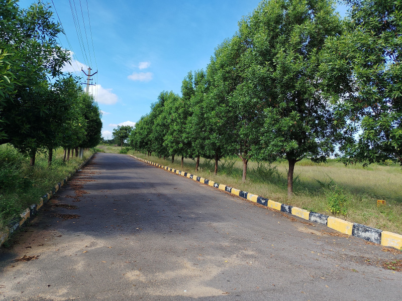  200 Sq. Yards Residential Plot for Sale in Yacharam Mandal, Hyderabad