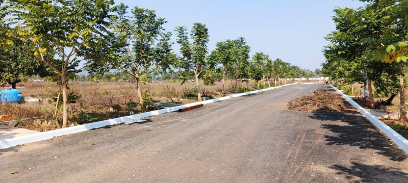 Kondakarakam, Vizianagaram photo 4