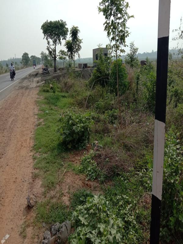  16200 Sq.ft. Agricultural/Farm Land for Sale in Panagarh, Bardhaman