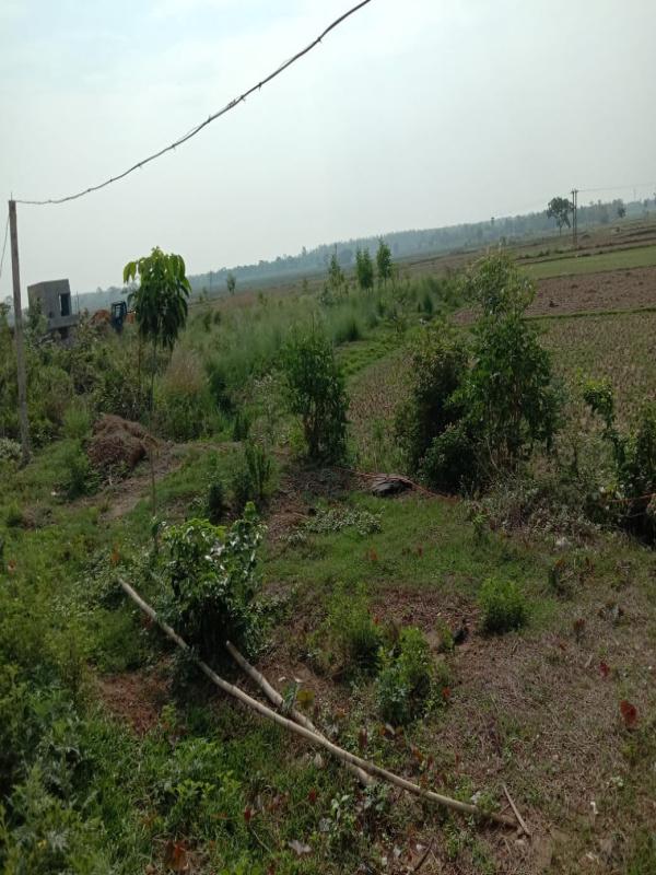  16200 Sq.ft. Agricultural/Farm Land for Sale in Panagarh, Bardhaman