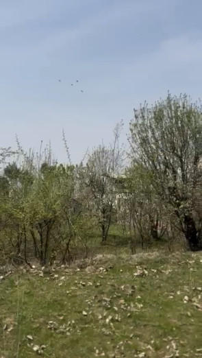  77 Marla Residential Plot for Sale in Nishat, Srinagar