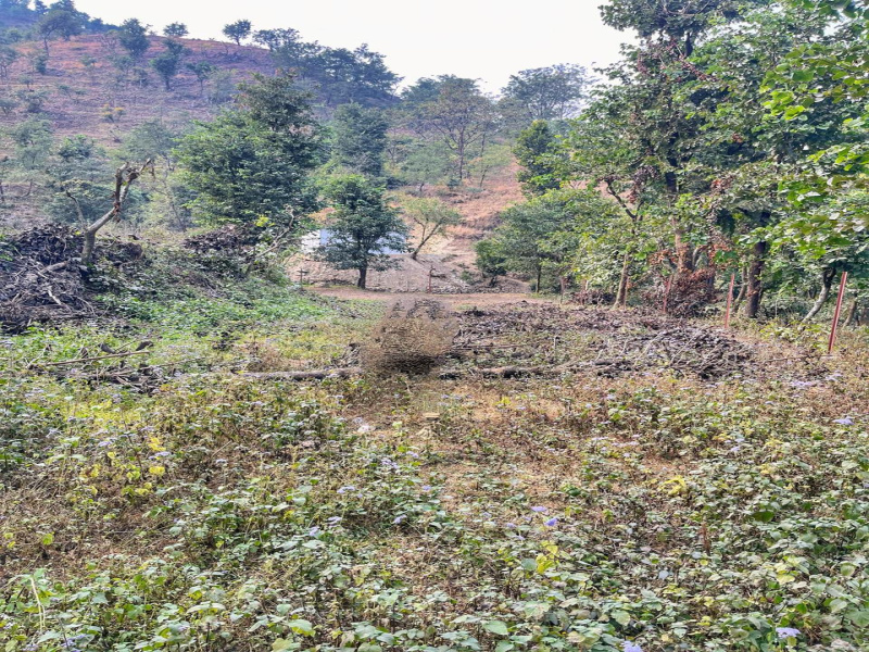  2006 Sq.ft. Residential Plot for Sale in maldevta Dehradun