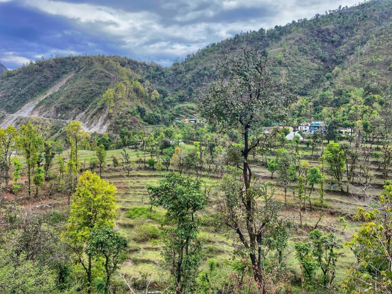  2006 Sq.ft. Residential Plot for Sale in maldevta Dehradun