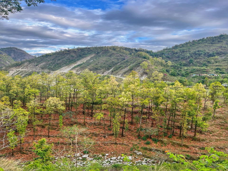  2006 Sq.ft. Residential Plot for Sale in maldevta Dehradun