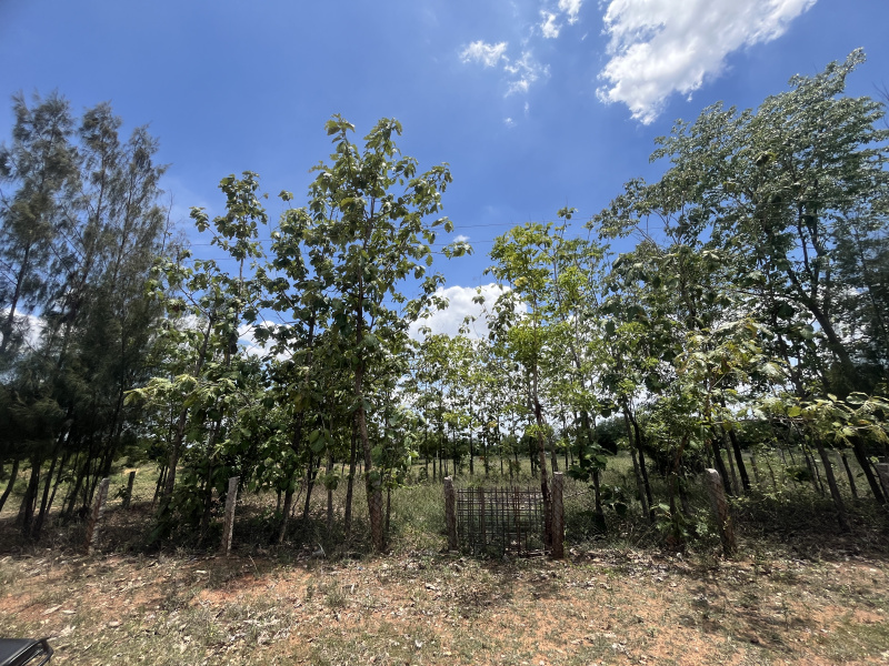  10 Cent Residential Plot for Sale in Iluppur, Pudukkottai