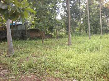  Residential Plot for Sale in Kottiyam, Kollam