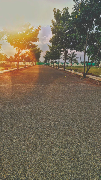  1200 Sq.ft. Residential Plot for Sale in Devanahalli, Bangalore