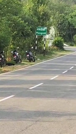  39 Marla Commercial Land for Sale in Barsar, Hamirpur