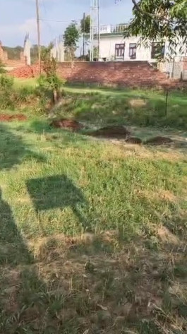  39 Marla Commercial Land for Sale in Barsar, Hamirpur