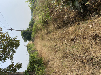  Agricultural Land for Sale in Jalalabad, Hoshangabad