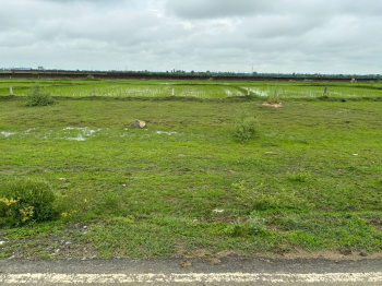  Residential Plot for Sale in Bodh Gaya