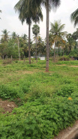 Residential Plot for Sale in Gorimedu, Salem