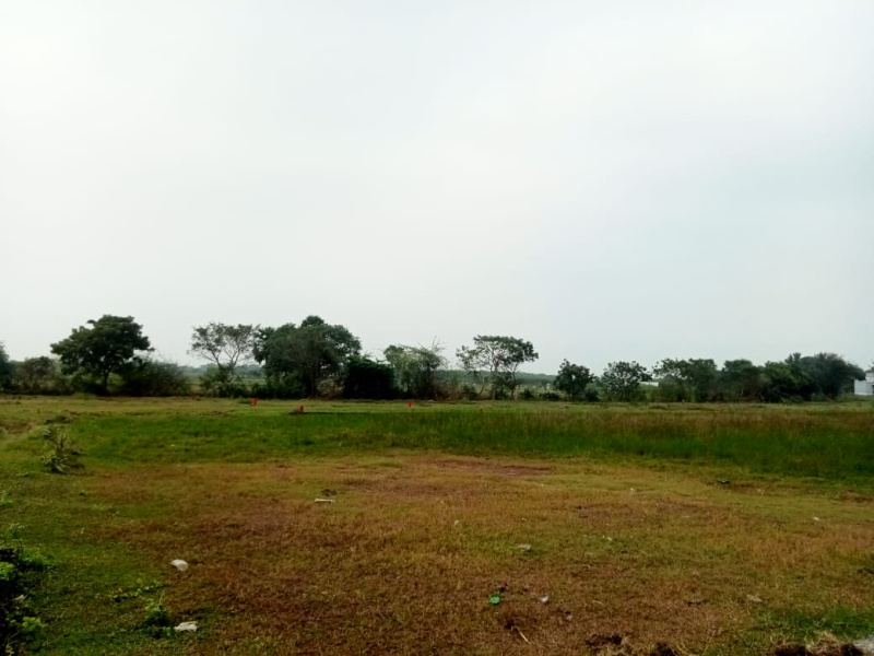  1000 Sq.ft. Residential Plot for Sale in Maduranthakam, Chengalpattu