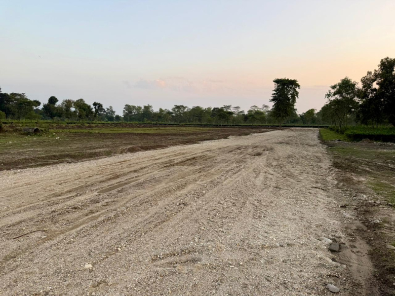  720 Sq.ft. Residential Plot for Sale in Babupara, Siliguri
