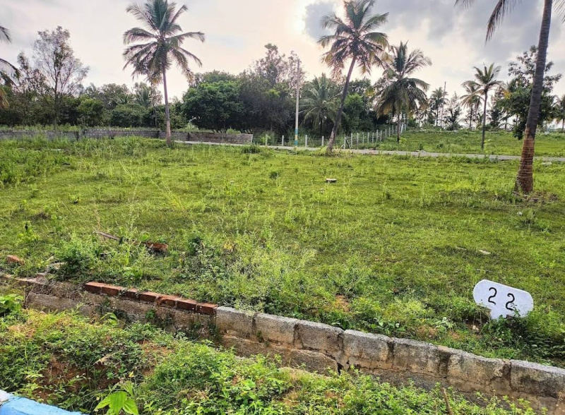  1200 Sq.ft. Residential Plot for Sale in Sadahalli, Devanahalli, Bangalore