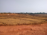  Agricultural Land for Sale in Vetoshi, Ratnagiri
