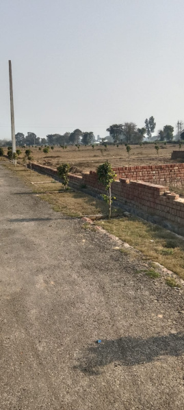  200 Sq. Yards Residential Plot for Sale in Yamuna Expressway, Greater Noida