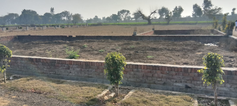  200 Sq. Yards Residential Plot for Sale in Yamuna Expressway, Greater Noida