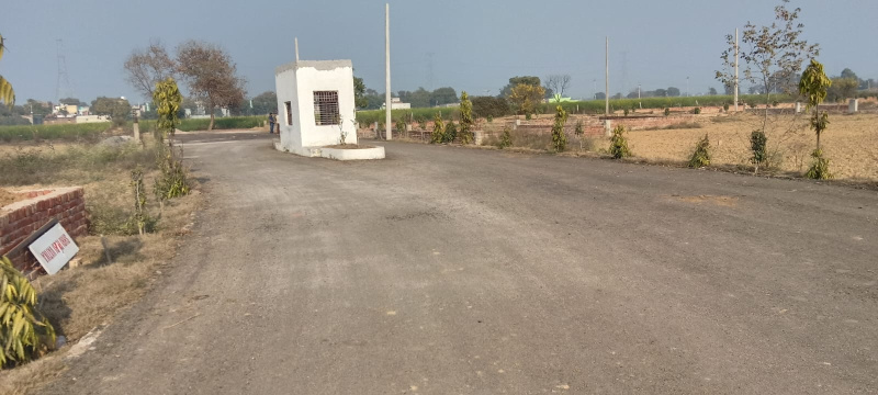  200 Sq. Yards Residential Plot for Sale in Yamuna Expressway, Greater Noida