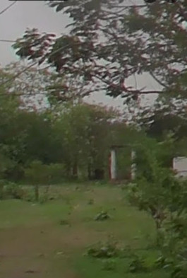  68 Dismil Commercial Land for Sale in Akaltara, Janjgir-Champa