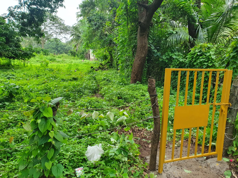  13612 Sq.ft. Residential Plot for Sale in Vengurla, Sindhudurg