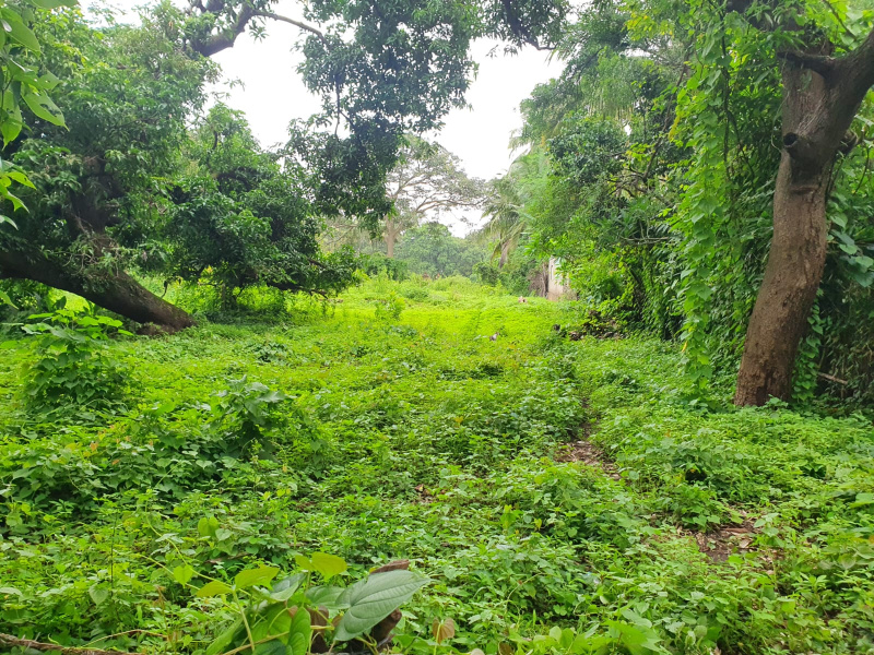  13612 Sq.ft. Residential Plot for Sale in Vengurla, Sindhudurg
