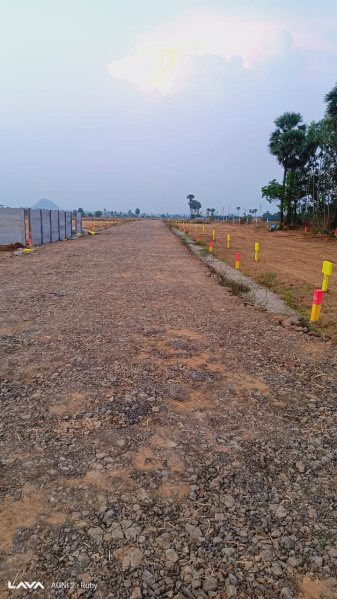  100 Sq. Yards Residential Plot for Sale in Burugupudi, Rajahmundry