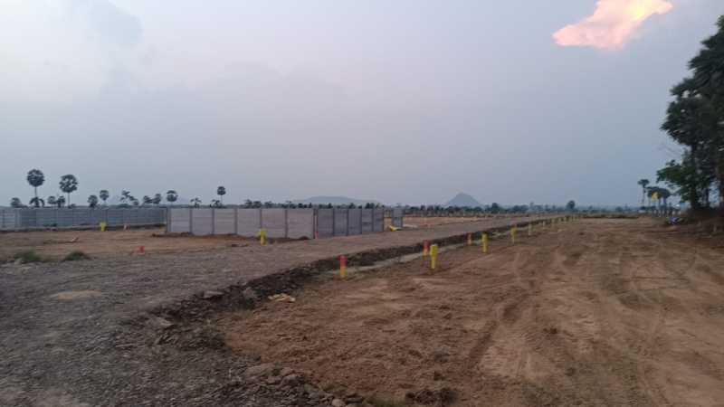  100 Sq. Yards Residential Plot for Sale in Burugupudi, Rajahmundry