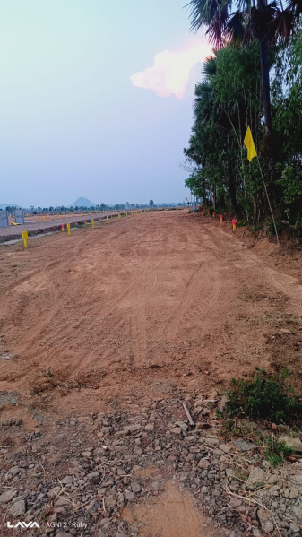  100 Sq. Yards Residential Plot for Sale in Rajahmundry, East Godavari