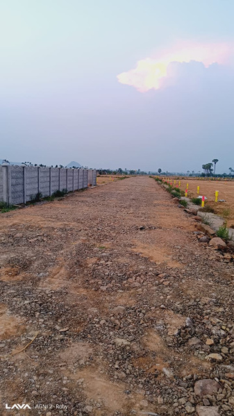  100 Sq. Yards Residential Plot for Sale in Rajahmundry, East Godavari