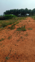  Residential Plot for Sale in Allinagaram, Theni