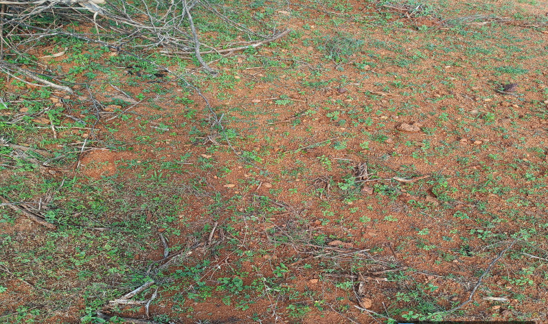  1962 Sq.ft. Residential Plot for Sale in Allinagaram, Theni