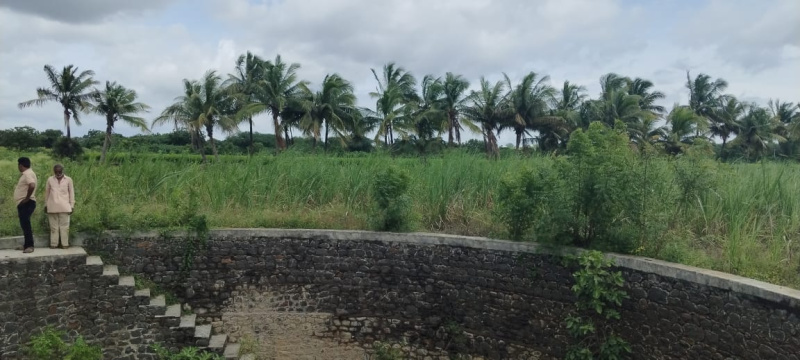  17 Acre Agricultural/Farm Land for Sale in Akkalkot, Solapur