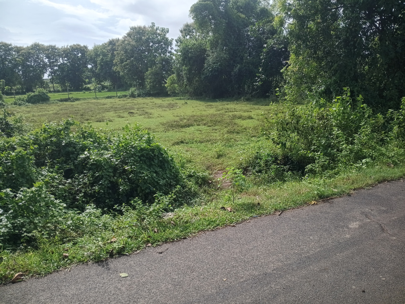  14000 Sq.ft. Residential Plot for Sale in Gurudijhatia, Cuttack