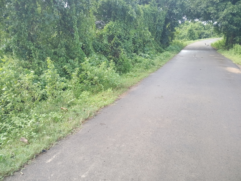  14000 Sq.ft. Residential Plot for Sale in Gurudijhatia, Cuttack