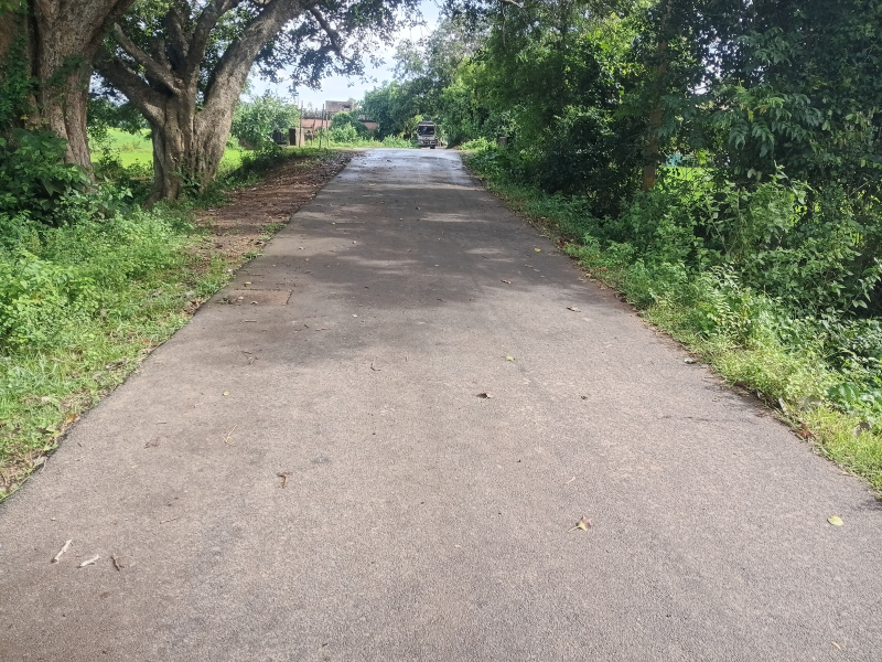  14000 Sq.ft. Residential Plot for Sale in Gurudijhatia, Cuttack