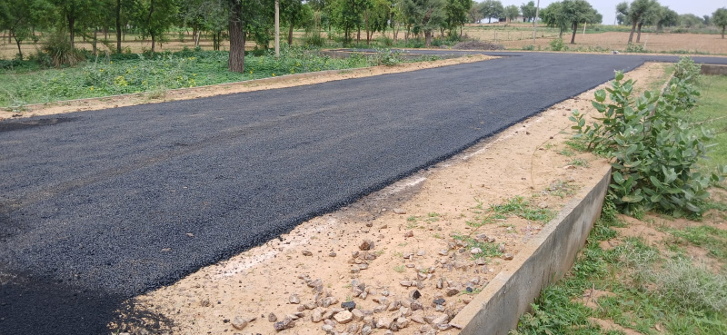  900 Sq.ft. Residential Plot for Sale in Pilani, Jhunjhunu