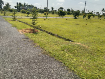 Residential Plot for Sale in Chikkaballapur, Bangalore