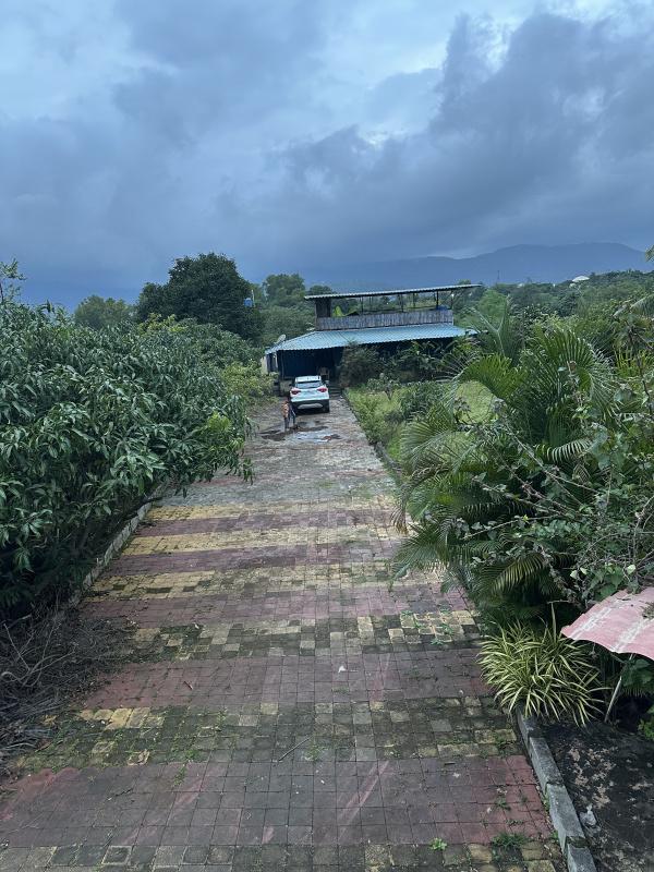  14 Guntha Agricultural/Farm Land for Sale in Mulshi, Pune