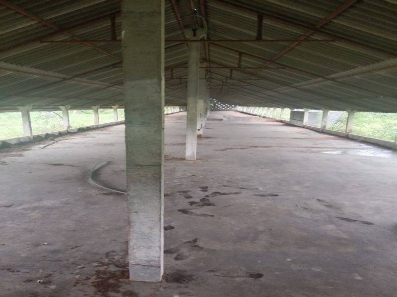  335 Cent Residential Plot for Sale in Radhapuram, Tirunelveli