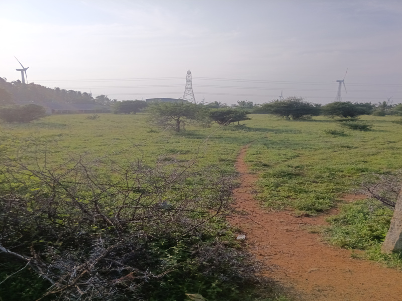  335 Cent Residential Plot for Sale in Radhapuram, Tirunelveli