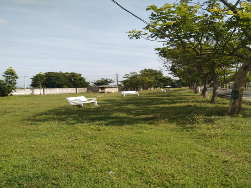  1200 Sq.ft. Residential Plot for Sale in Chikkaballapur, Bangalore