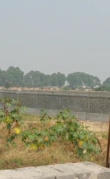  180 Sq. Yards Residential Plot for Sale in Pataudi, Gurgaon