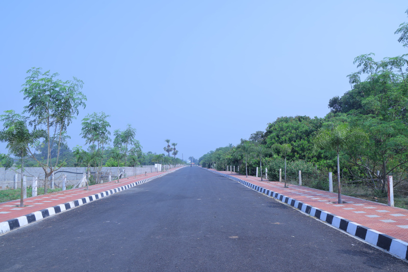  311 Sq. Yards Residential Plot for Sale in Bhogapuram, Visakhapatnam